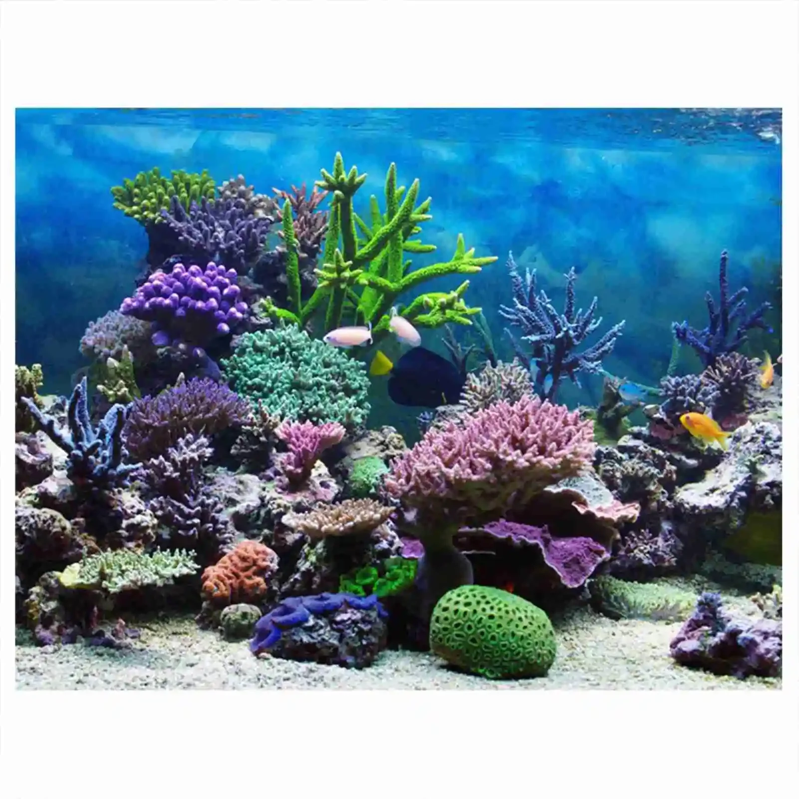 Marine Aquarium Glue - 3D Aquarium Landscape Poster Rainforest Wallpaper