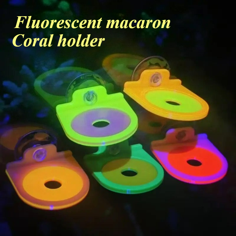 Marine Aquarium Live - Color Random Coral Frag Holder Bracket
