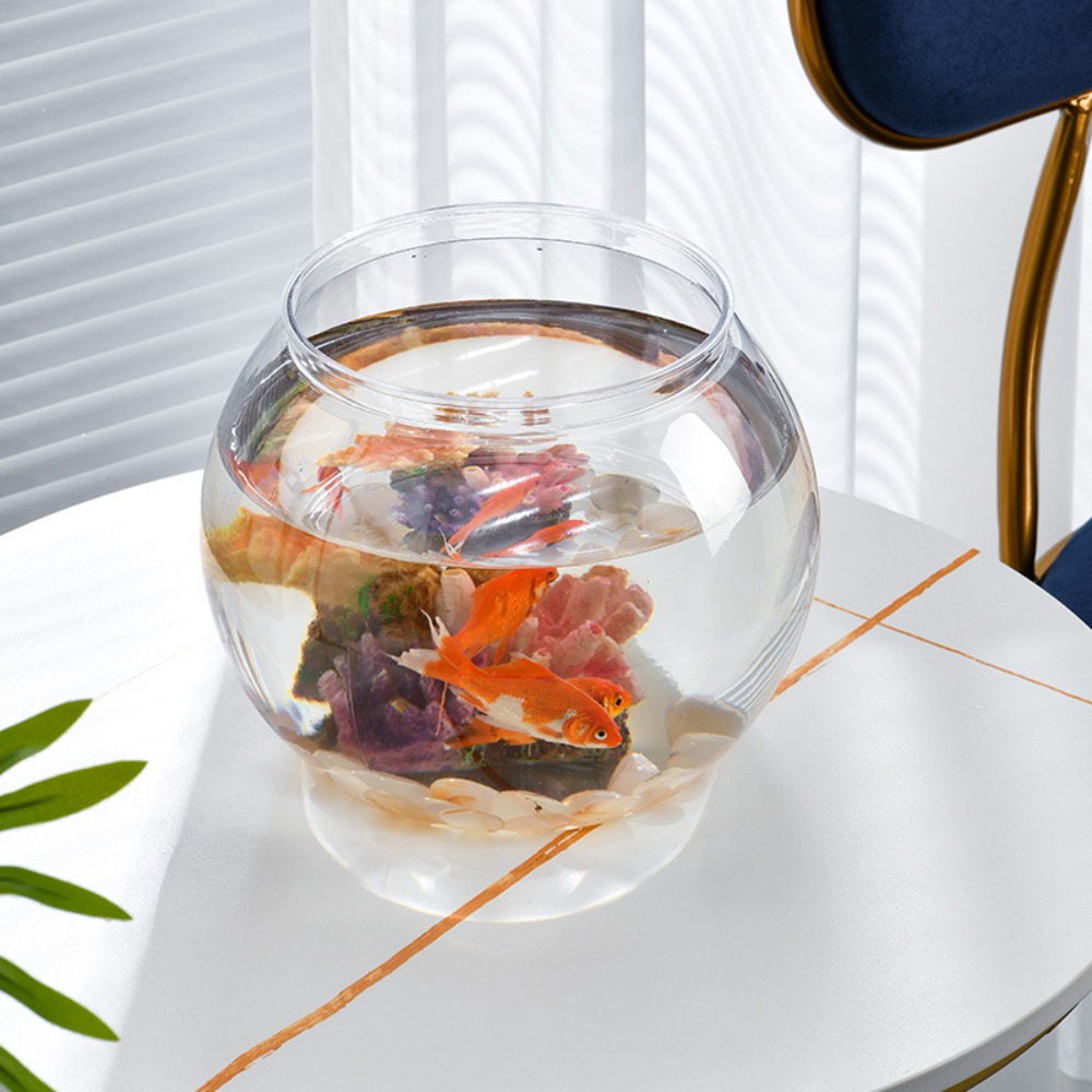 Home Decor Clear Transparent R - Marine Aquarium Live review and price