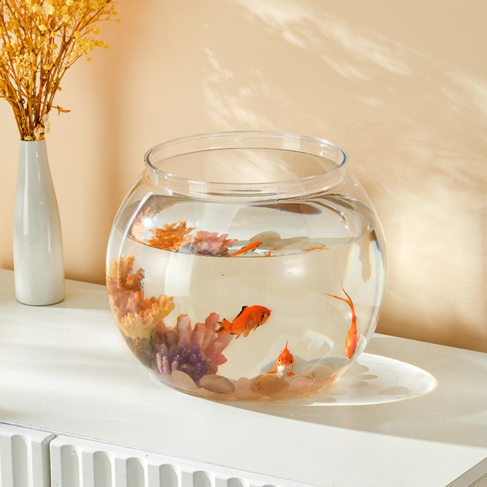 Home Decor Clear Transparent R - Marine Aquarium Live review and price