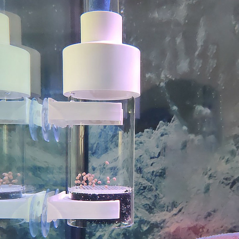 40mm Tumbler Incubator Fish Ha - Marine Aquarium Kit review and price