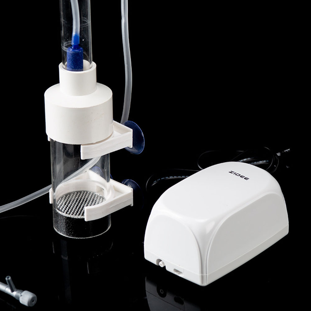 40mm Tumbler Incubator Fish Ha - Marine Aquarium Kit review and price