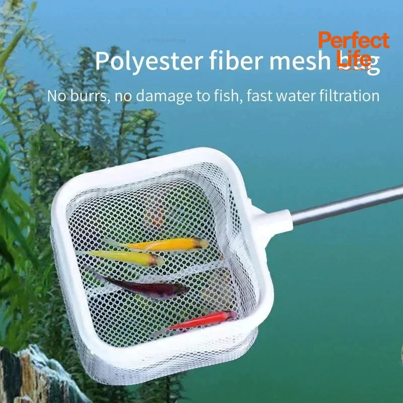 1、2Pcs Stainless Steel Fishing - Aquarium Marineland review and price