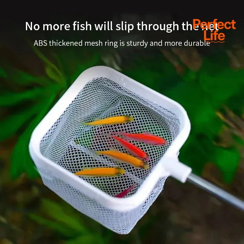 1、2Pcs Stainless Steel Fishing - Aquarium Marineland review and price