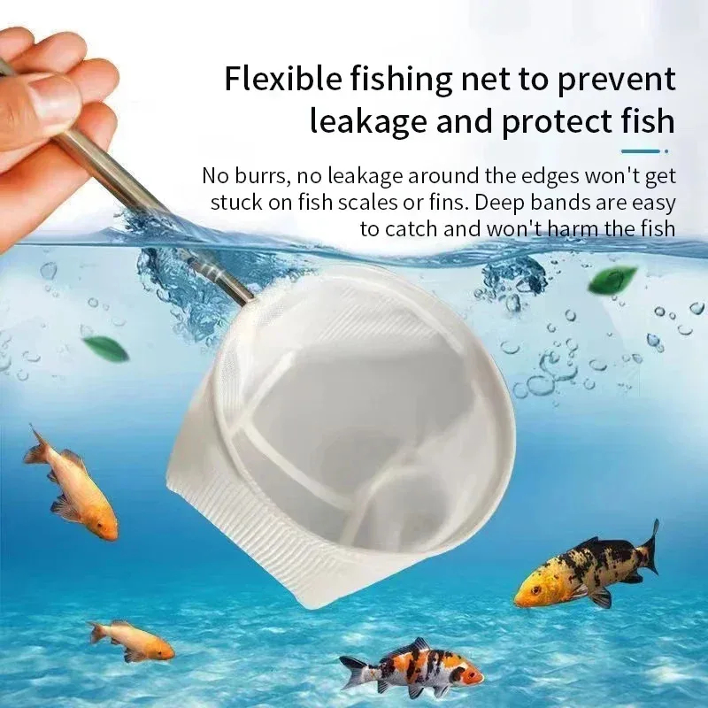 1、2Pcs Stainless Steel Fishing - Aquarium Marineland review and price