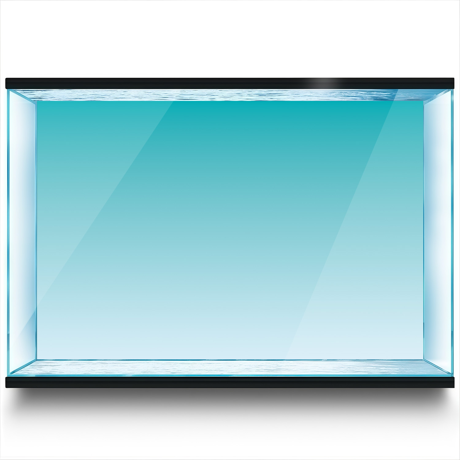 Blue and White Gradient, Fish  - Marine Aquarium Glue review and price
