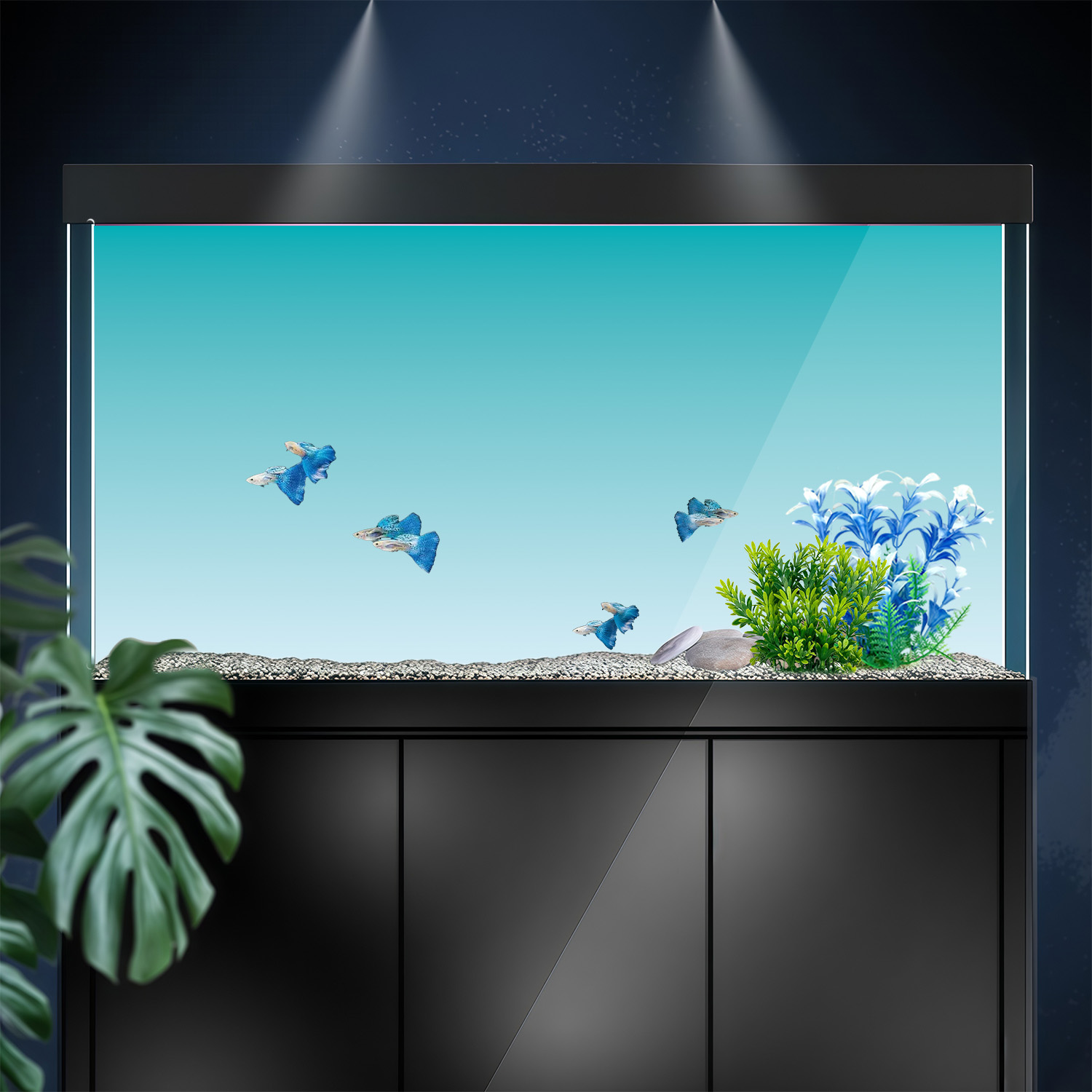 Blue and White Gradient, Fish  - Marine Aquarium Glue review and price