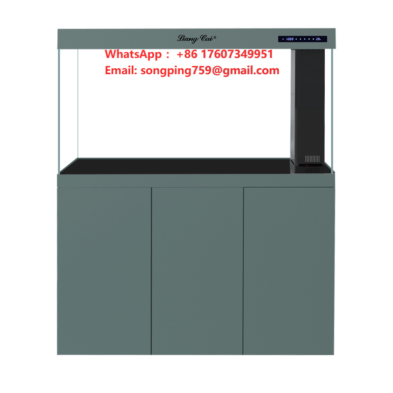 Ultra Clear Modern Glass Aquar - Marine Aquarium Live review and price