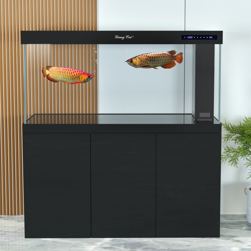 Ultra Clear Modern Glass Aquar - Marine Aquarium Live review and price
