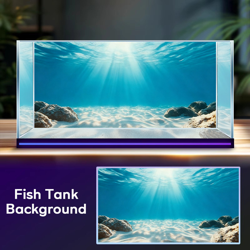 Blue Sea Clear Sand, Fish Tank - Marine Aquarium Glue review and price