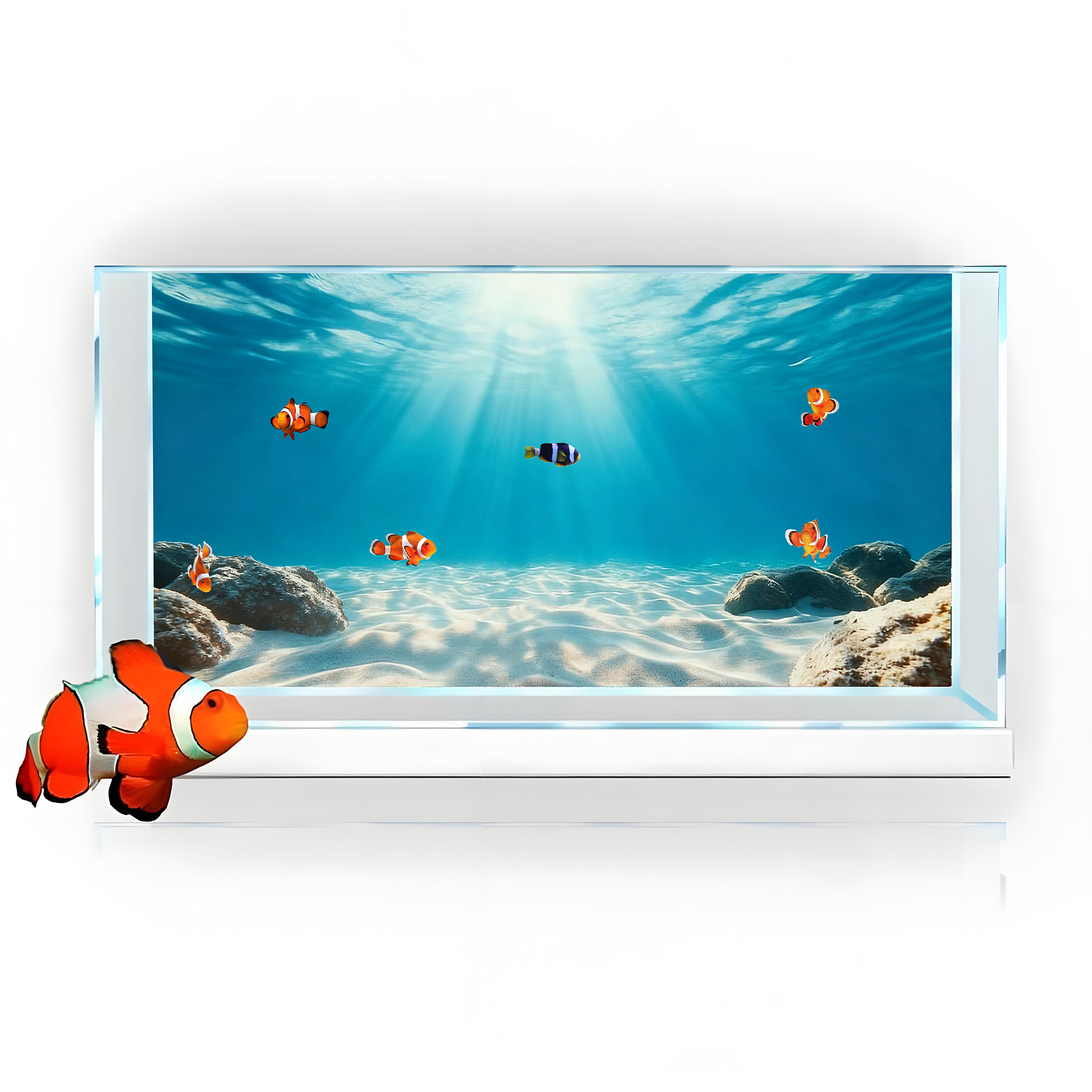 Blue Sea Clear Sand, Fish Tank - Marine Aquarium Glue review and price