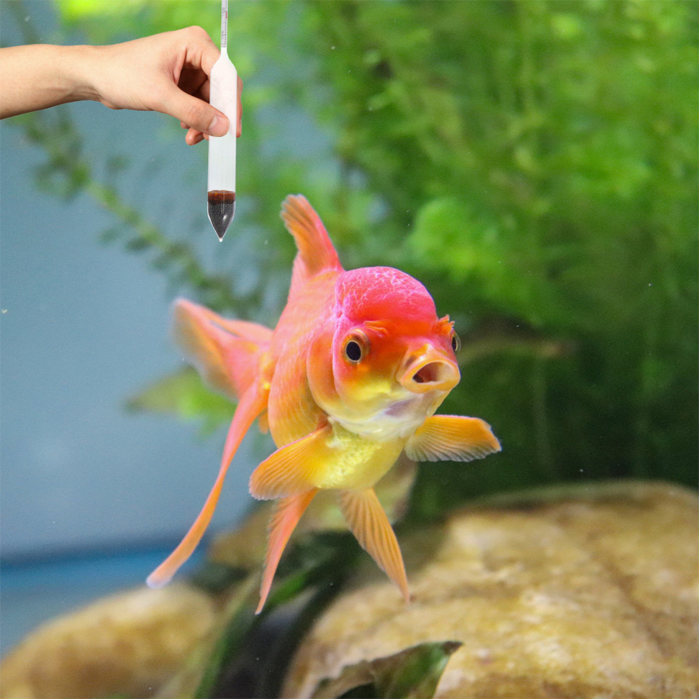 2Pcs Aquarium Salinity Hydrome - Marine Aquarium Hydrometer review and price