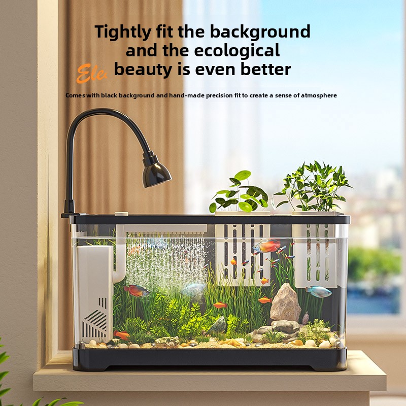 2026 All-in-One Aquarium Filte - Marine Aquarium Live review and price