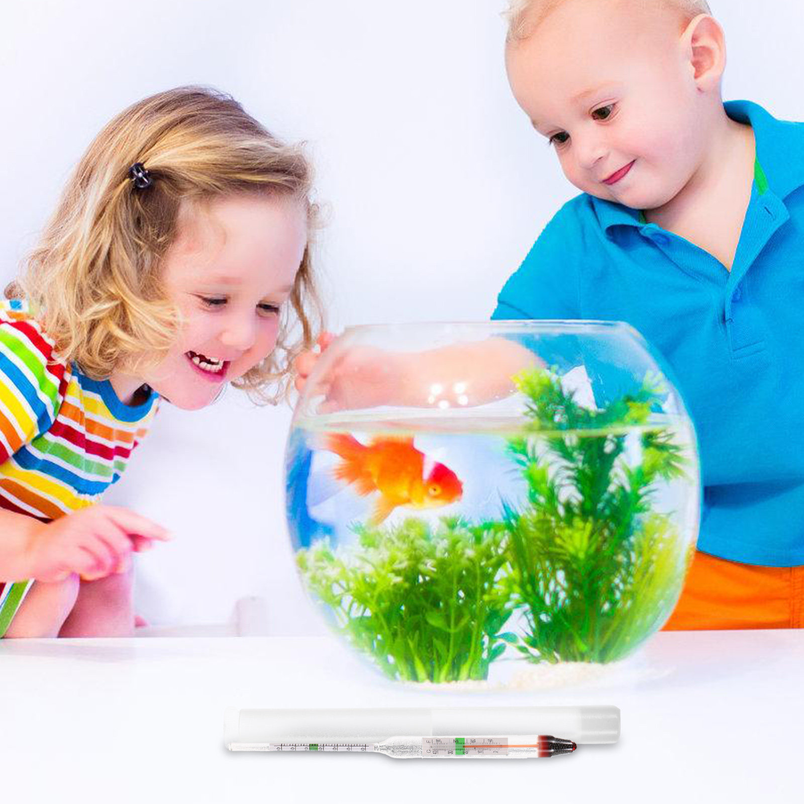 1Set Sturdy Plastic Glass Sali - Marine Aquarium Hydrometer review and price