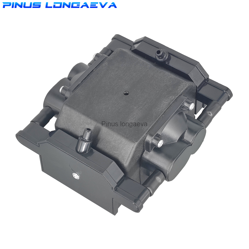 Pinus Longaeva 30L/min 30kPa L - Marine Aquarium Ozone Generator review and price