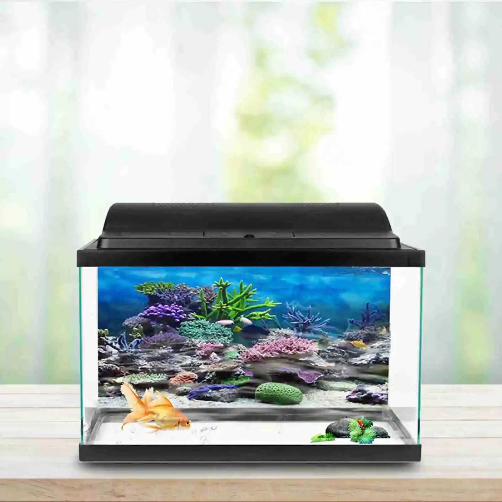 3D Aquarium Landscape Poster R - Marine Aquarium Glue review and price