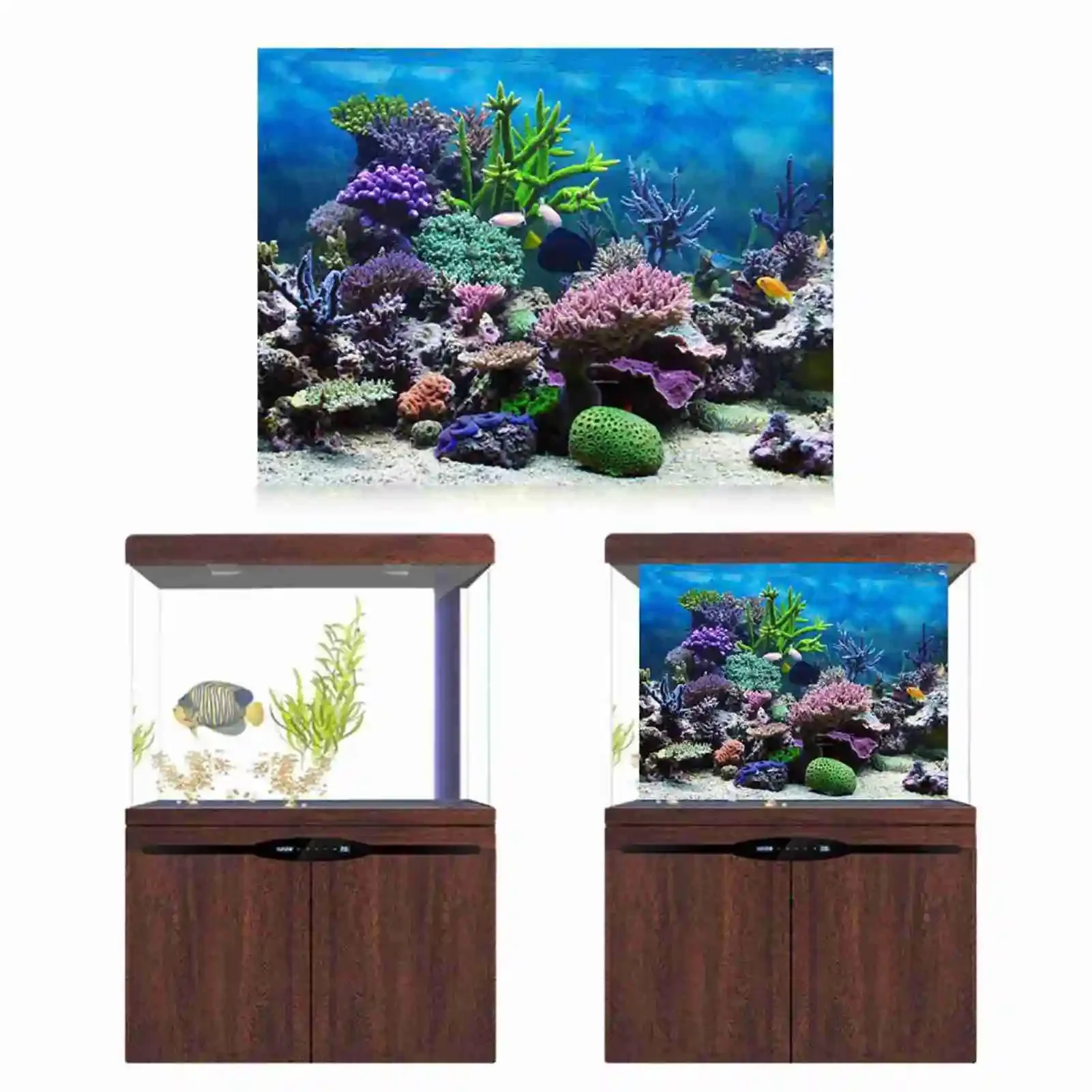3D Aquarium Landscape Poster R - Marine Aquarium Glue review and price