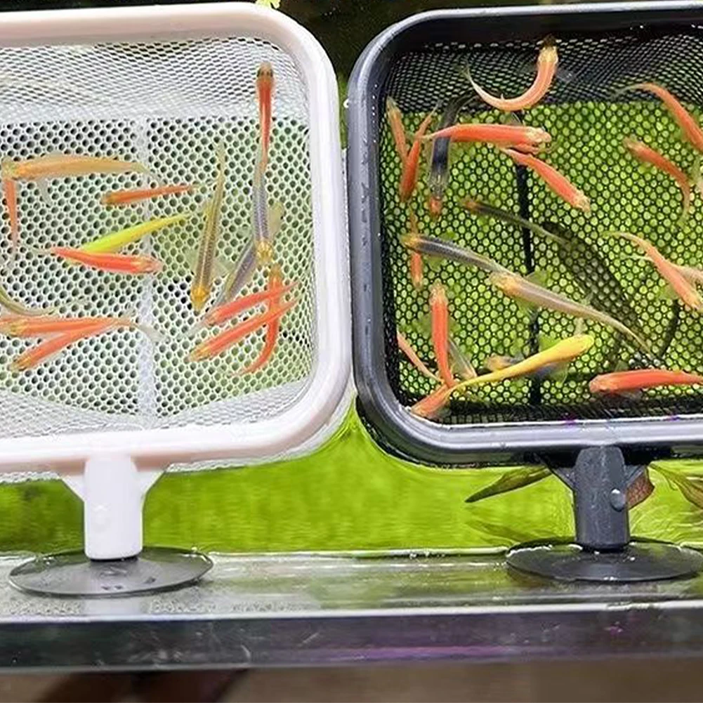 Fishing Landing Net Rustproof  - Aquarium Marineland review and price