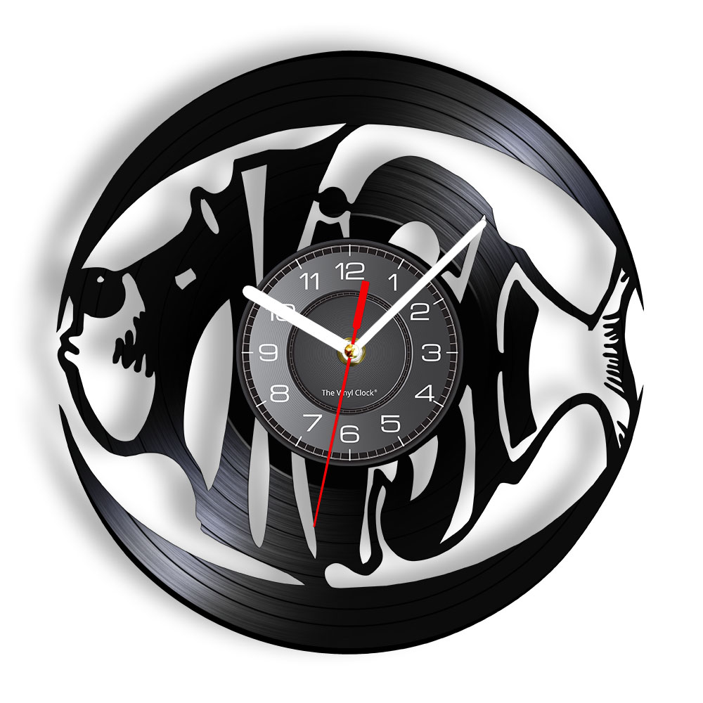 Ocean Fish Accent Vinyl Record - Marine Aquarium Live review and price