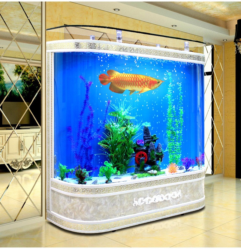Customized Large Glass Fish Ta - Marine Aquarium Live review and price