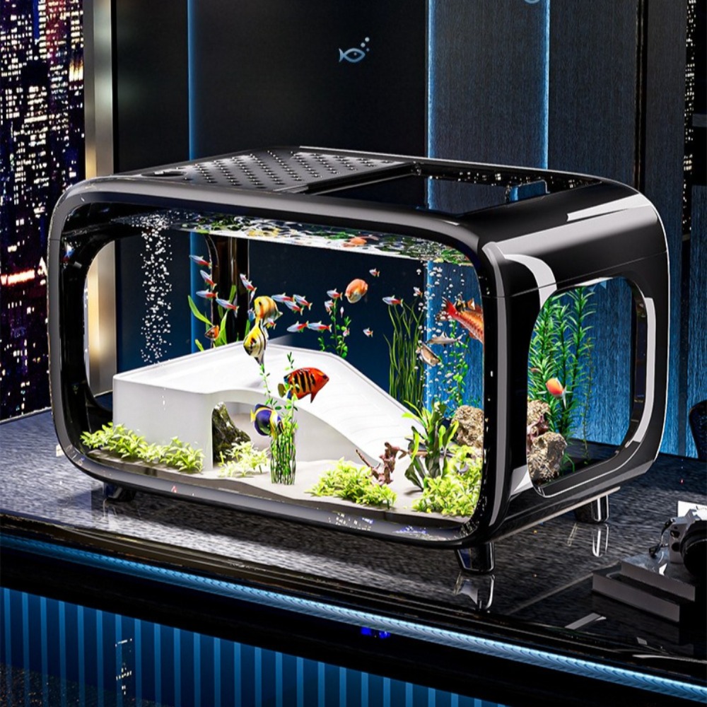 Transparent Luxury Fish Tank D - Marine Aquarium Live review and price