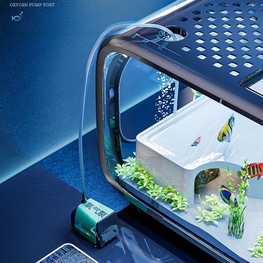 Transparent Luxury Fish Tank D - Marine Aquarium Live review and price