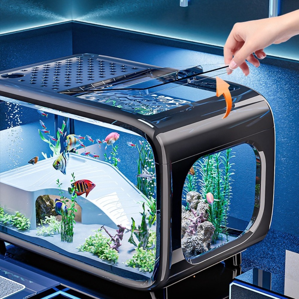Transparent Luxury Fish Tank D - Marine Aquarium Live review and price