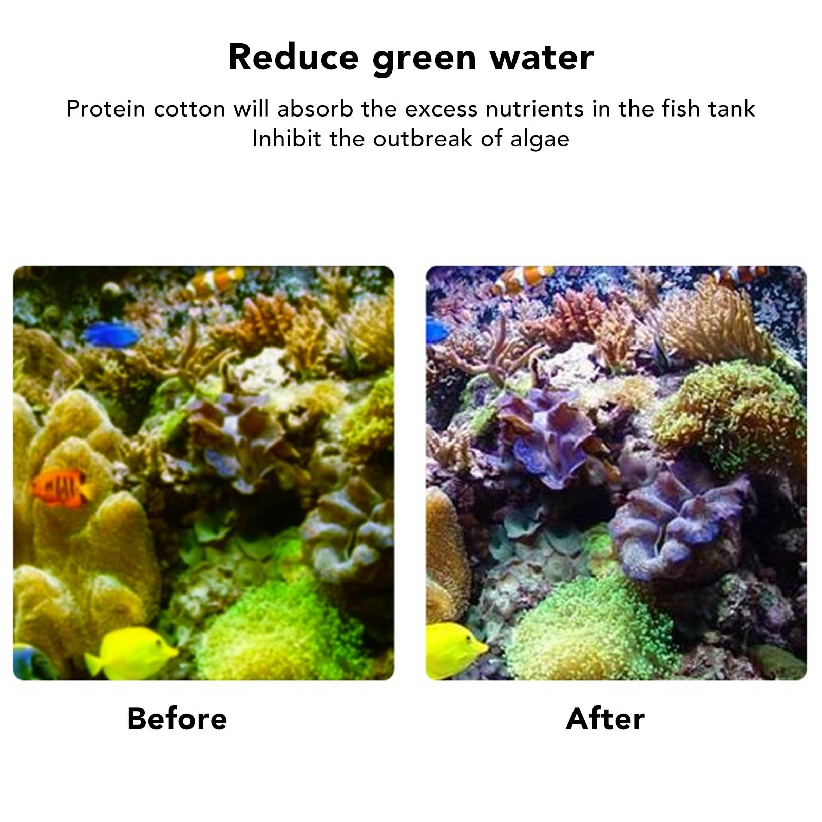 Fish  Filter Resin Aquarium Fi - Marine Aquarium Filter Media review and price