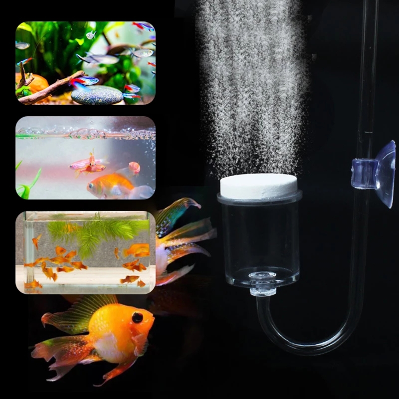 4pcs Set DIY CO2 Diffuser For  - Marine Aquarium Live review and price