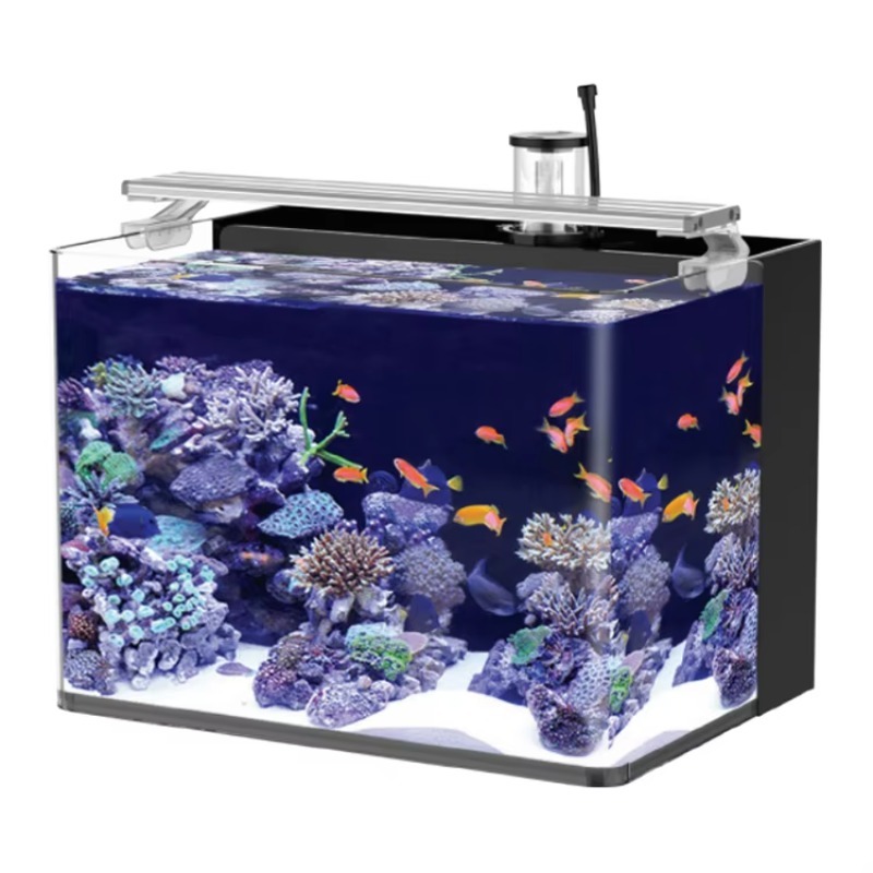 Table Curved Saltwater Marine  - Marine Aquarium Live review and price