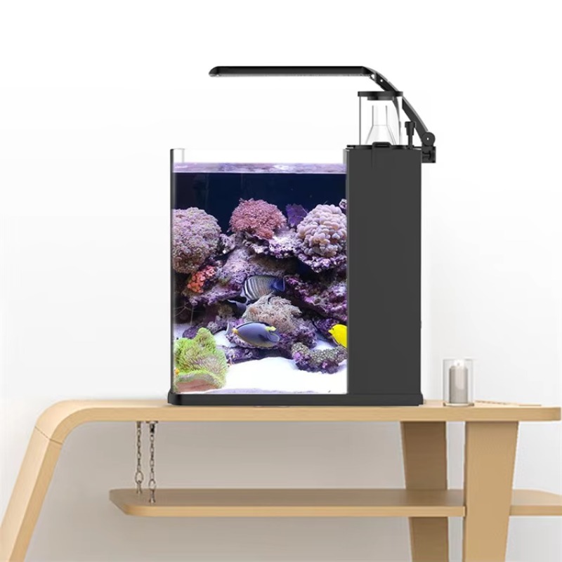 Table Curved Saltwater Marine  - Marine Aquarium Live review and price