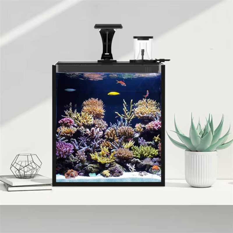 Table Curved Saltwater Marine  - Marine Aquarium Live review and price